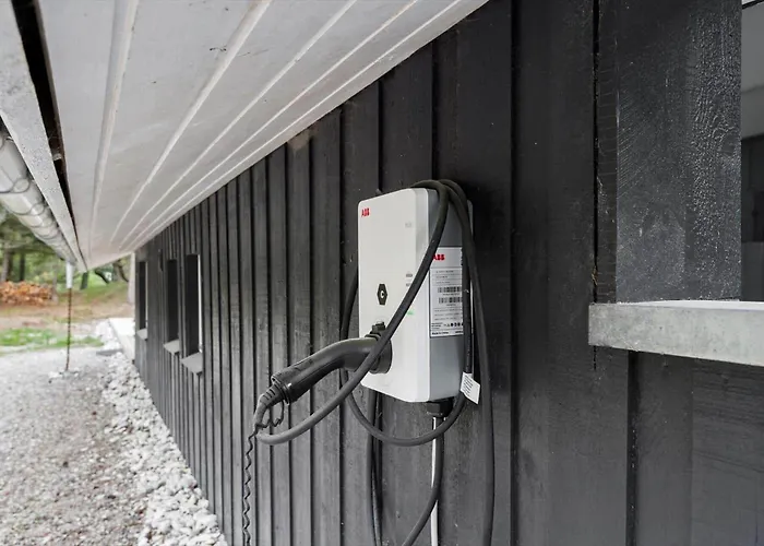 Bv237-blavand-gl-hovej-4